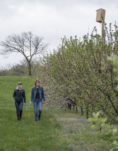 Two researchers walking through a field and looking up at nest box in the trees.